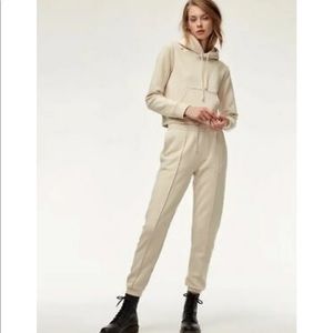 Aritzia Hoodie